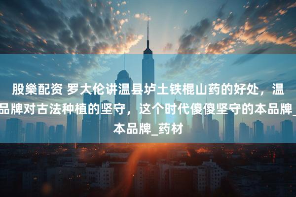 股樂配资 罗大伦讲温县垆土铁棍山药的好处，温贤仁品牌对古法种植的坚守，这个时代傻傻坚守的本品牌_药材