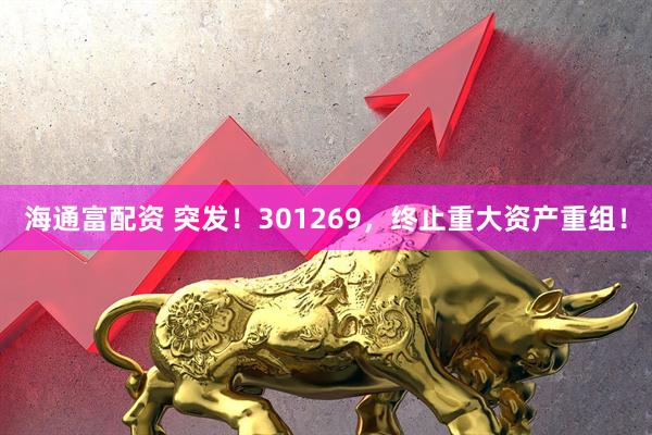 海通富配资 突发！301269，终止重大资产重组！