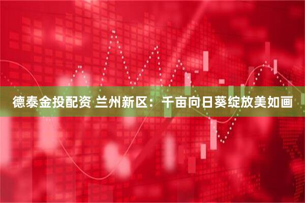 德泰金投配资 兰州新区：千亩向日葵绽放美如画