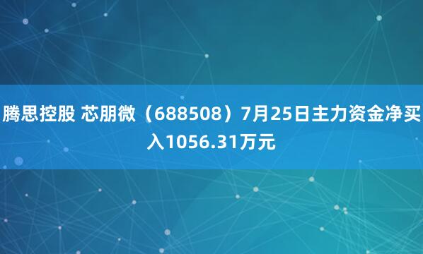 腾思控股 芯朋微（688508）7月25日主力资金净买入1056.31万元