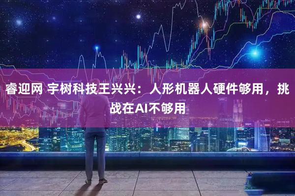 睿迎网 宇树科技王兴兴：人形机器人硬件够用，挑战在AI不够用