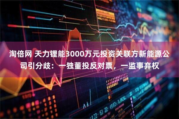 淘倍网 天力锂能3000万元投资关联方新能源公司引分歧:一独董投反对票,一监事弃权