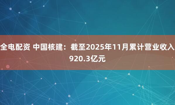 全电配资 中国核建：截至2025年11月累计营业收入920.3亿元